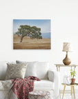 A minimalist living room features a white sofa adorned with patterned cushions and a red throw blanket. A wooden side table with a lamp and potted plant sits beside it. On the wall hangs an Offley Green 24x30 Rustic Canvas Print (Choose from 10+ Designs), a landscape photograph of a lone tree in a dry field with distant mountains, printed on premium artist-grade canvas.