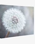 A close-up photograph of a single dandelion seed head against a soft, blurred background. The fluffy white seeds radiate from the center, creating a delicate and airy appearance. This 11x14 Botanical Canvas Print (Choose from 10+ Designs) by Offley Green boasts a muted, calming color palette.