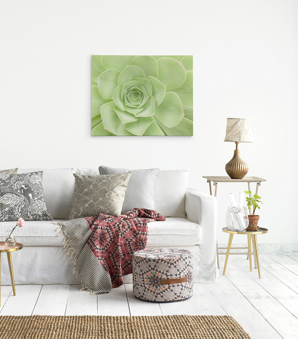 24X30 Botanical Canvas Print (Choose from 10+ Designs)