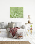 24X30 Botanical Canvas Print (Choose from 10+ Designs)