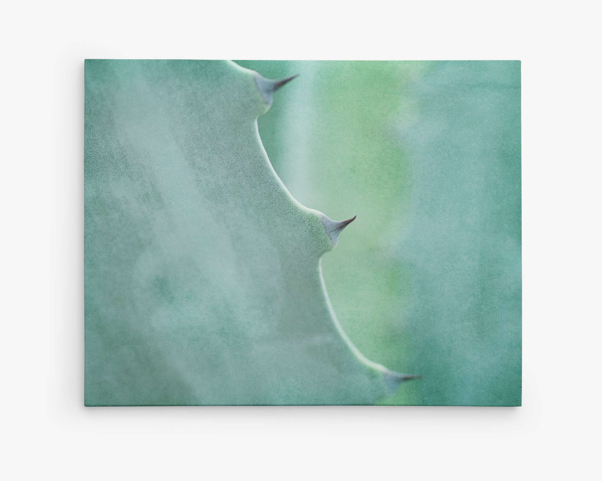 Close-up image of a green Aloe Vera plant showcasing its textured surface and thorny edges. The background is softly blurred, highlighting the intricate details of the plant’s structure as if displayed on a premium artist-grade canvas, Mint Green Botanical Wall Art, 'Aloe Vera Spikes' by Offley Green.