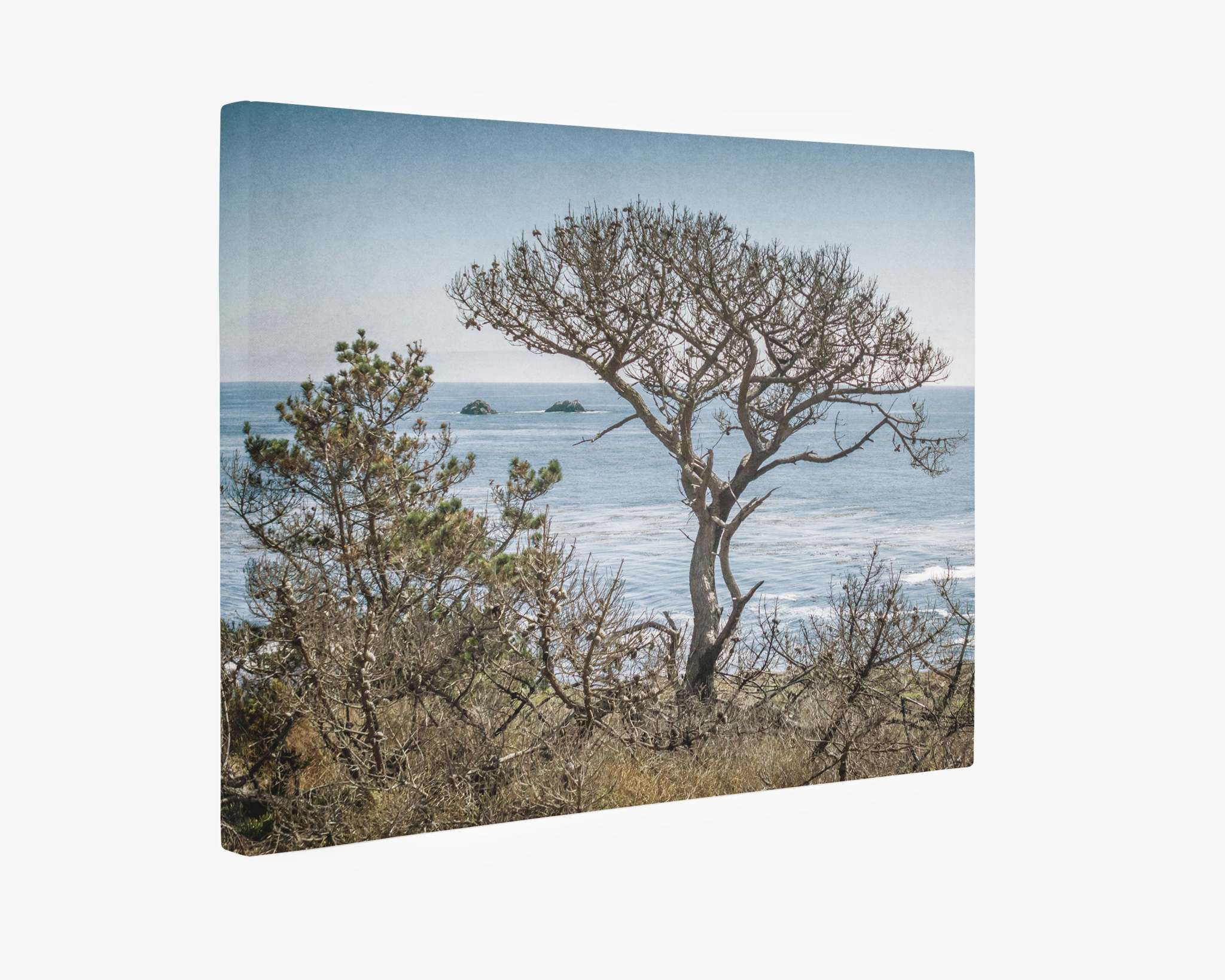 The Offley Green California Landscape Canvas Art in Big Sur, 'Wind Blown Tree' depicts a serene coastal scene along the Big Sur coastline with a tall, leafless tree in the foreground. The ocean stretches out behind it under a clear blue sky, with rocky outcrops visible in the distance and sparse vegetation surrounding the area.