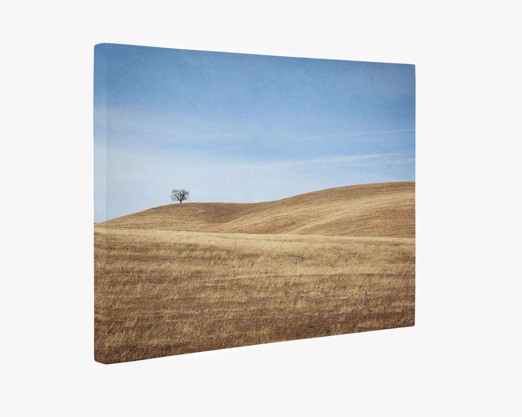 A premium artist-grade canvas print, the Offley Green California Central Coast Landscape Canvas Wall Decor 'Golden Ynez,' features a landscape with a solitary tree on a distant hill. The scene, composed of rolling brown hills under a clear blue sky, evokes solitude and tranquility. This ready-to-hang solution offers both beauty and convenience for any space.