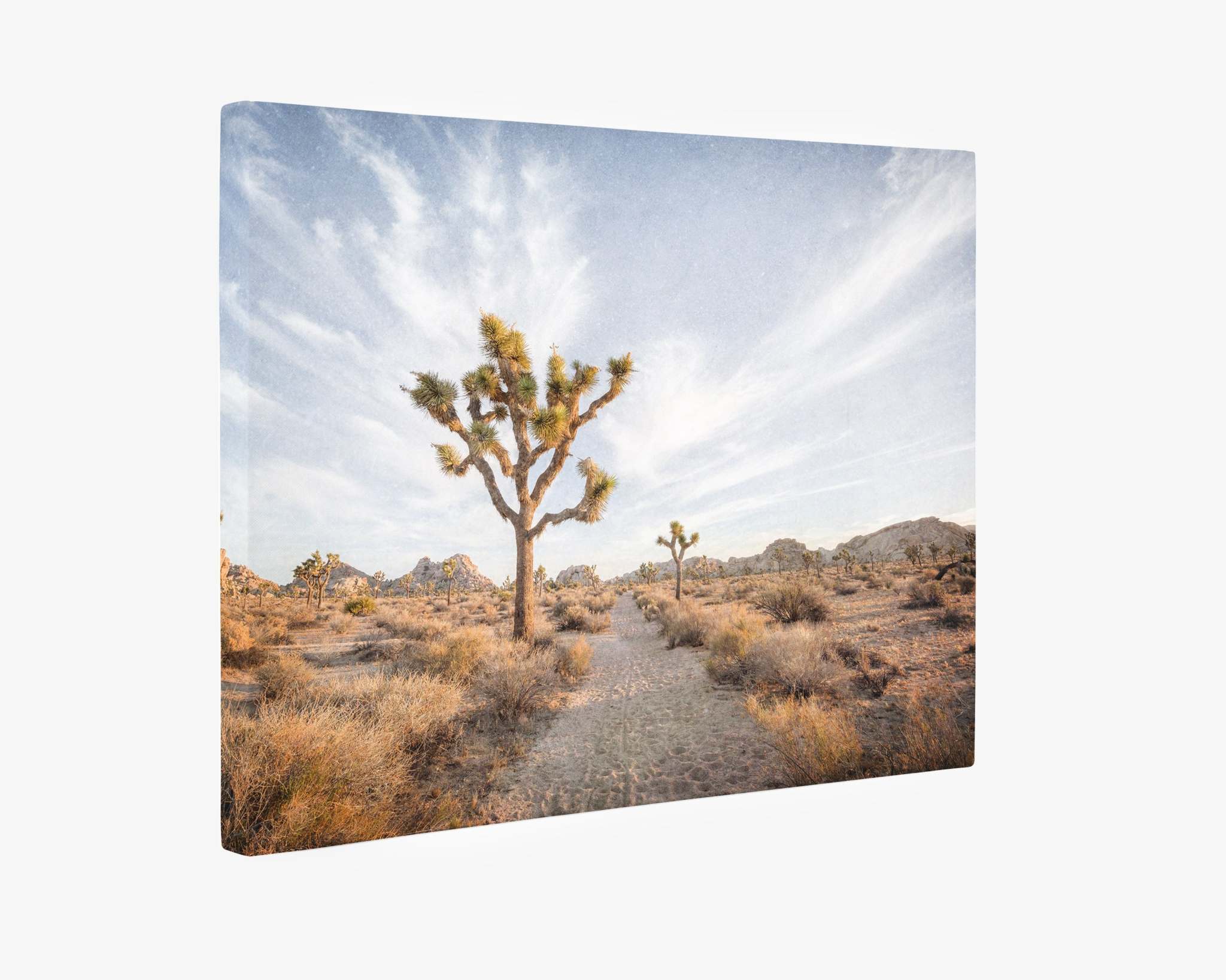 An Offley Green Joshua Tree Canvas Wall Art, 'Path to Joshua,' showcasing a serene desert landscape from Joshua Tree National Park, with a prominent Joshua tree in the center. The sky is blue with wispy clouds, and the ground has sparse vegetation and sandy paths, creating a peaceful, natural scene reminiscent of Palm Springs.