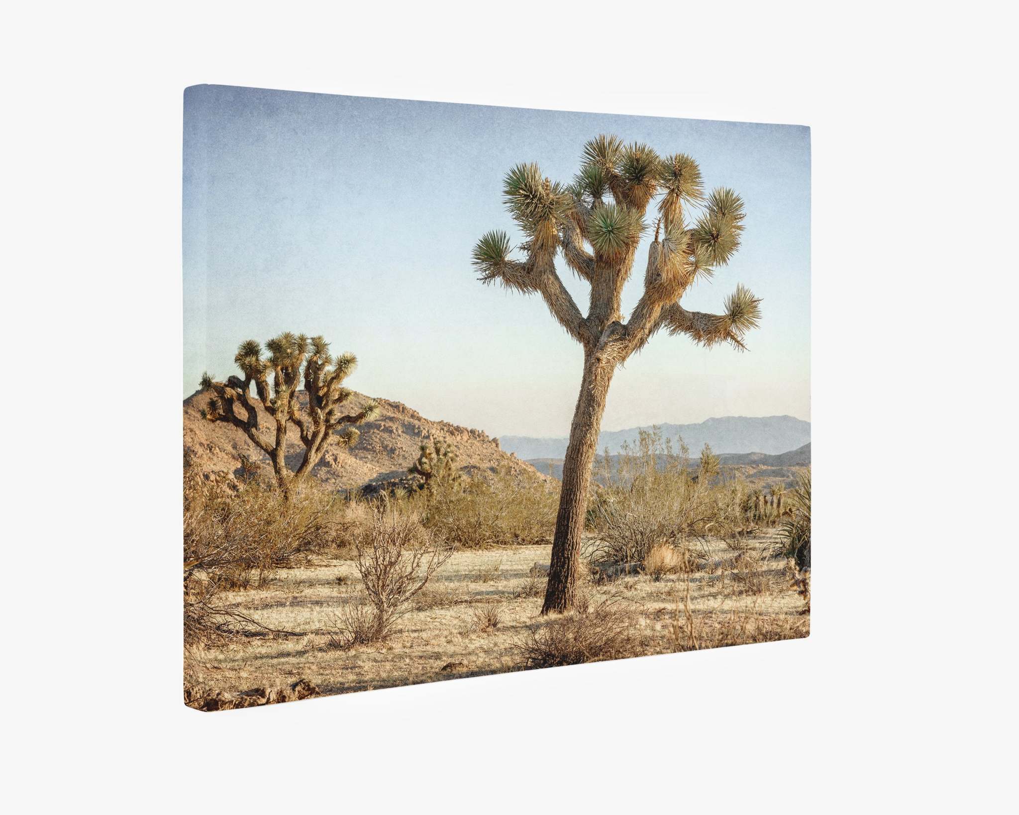 An Offley Green Joshua Tree Canvas Wall Art, 'Mighty Joshua,' featuring a desert landscape with Joshua trees. The scene depicts a clear sky with distant mountains, dry brush, and scattered vegetation in an arid environment, reminiscent of the iconic views found in Joshua Tree National Park.